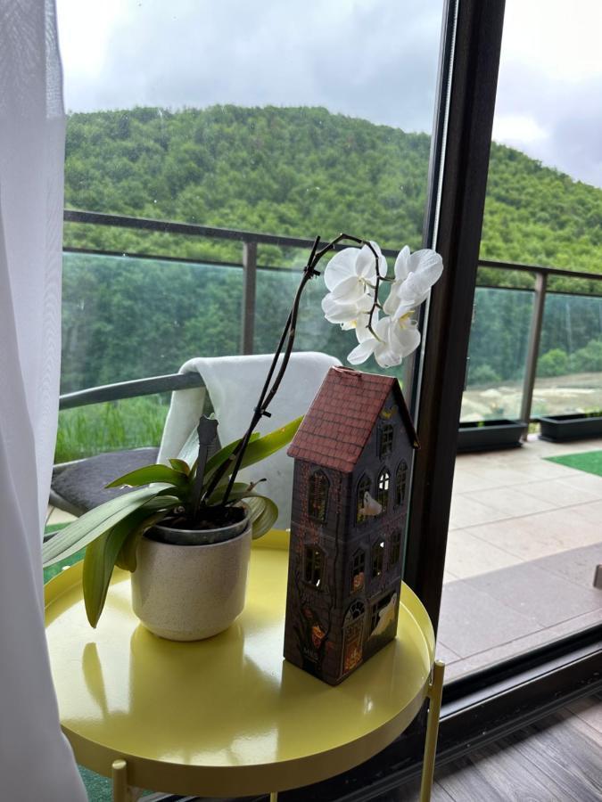 Silvelen Mountain View Apartment Брашов Екстериор снимка