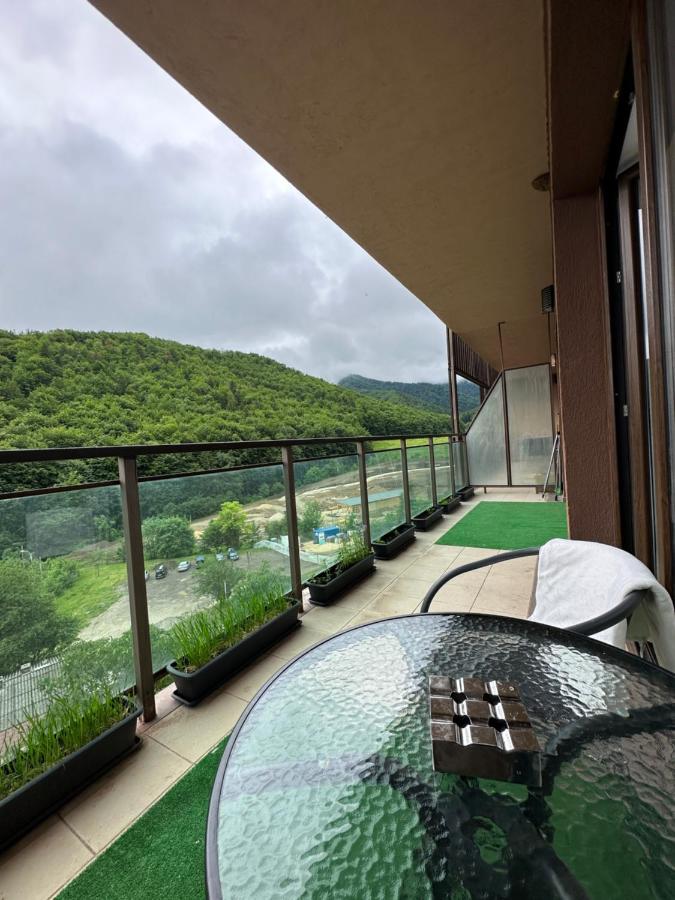 Silvelen Mountain View Apartment Брашов Екстериор снимка